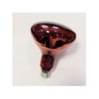 Лампа накаливания зеркальная